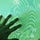 Go to the profile of Sean Corriel