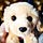 Go to the profile of Yujia