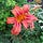 Go to the profile of Rehana Rajwani