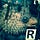 Go to the profile of Rollo