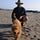 Go to the profile of Dave Bakay