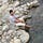 Go to the profile of Kunal Yadav