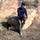 Go to the profile of FanaSeason I'Ngwenya