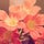 Go to the profile of John Boaman
