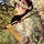 Go to the profile of Joreen Belocura