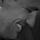 Go to the profile of Matthew Roche