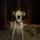 Go to the profile of mari kornhauser