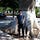 Go to the profile of Mauricio M.O Maigre