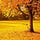 Go to the profile of Gilbert Rod