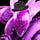Yoshimitsu Pink
