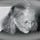 Go to the profile of Donna Alvermann
