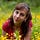Go to the profile of Katy Farber