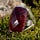 Go to the profile of Rubycharm