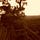 Go to the profile of Desira