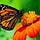 Go to the profile of Terri Daly