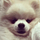 Go to the profile of Calvin Lei