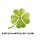 Go to the profile of Carolina Clover