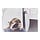 Go to the profile of Camila Perez