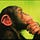 Go to the profile of Mackel Tisa