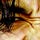 Go to the profile of Alexandro Galvez