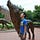Go to the profile of Chase Wang
