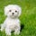 Go to the profile of Angelia Kelivin