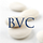 Go to the profile of Brightstone VC