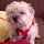 Go to the profile of brugoes