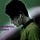 Go to the profile of shafin shamsudheen