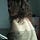 Go to the profile of Carmen Sánchez Campos