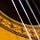guitardaily