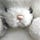 Go to the profile of Takeguchi Youhei