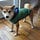 Go to the profile of Megumi Leroux