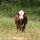 Go to the profile of Katie Black