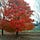 Go to the profile of Kinnari Patel