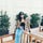 Go to the profile of Bianca Ysabella Jardin