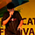 Manoj Kumar Bains