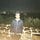 Go to the profile of Joel de Lima Amaral 