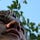 Go to the profile of Adam Safar