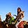 Go to the profile of chuckamagee