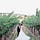 Go to the profile of Renaldi