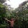 Go to the profile of Lei Zhao