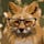 Go to the profile of M. N. Vulpin