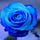 Go to the profile of Heidi Li Feldman