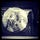 Go to the profile of Drae Vry