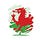 Go to the profile of Welsh Conservatives