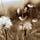 Go to the profile of A whirlwind of thoughts..