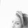 Go to the profile of Agata Yamashiro