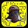 Go to the profile of YoYo Fantasy Sports