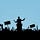 Go to the profile of Thinking Citizen